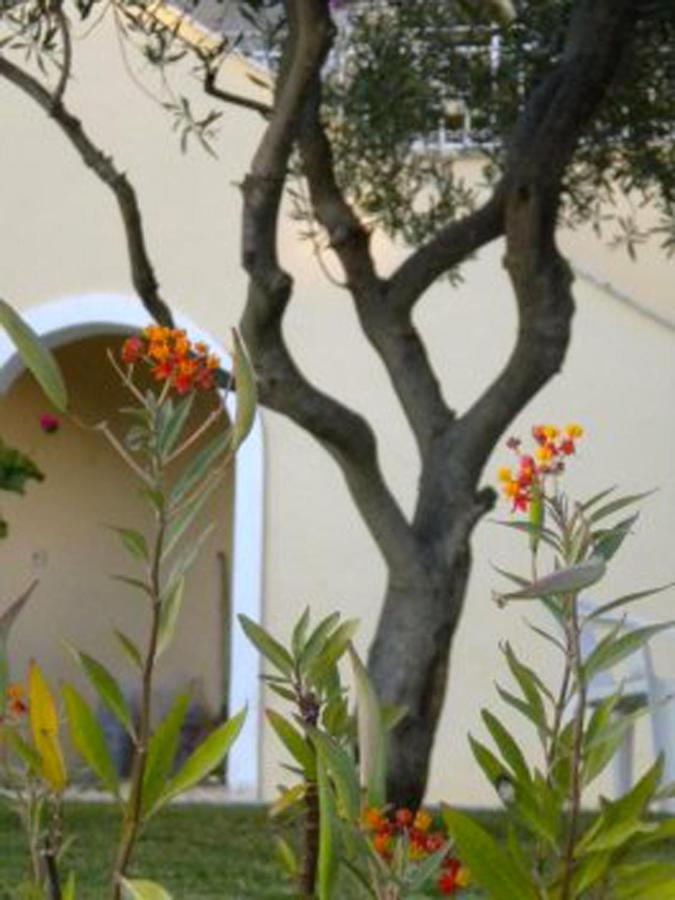 Natalia Apartment B With Panoramic Sea Views Of Agios Gordios Bay ภายนอก รูปภาพ